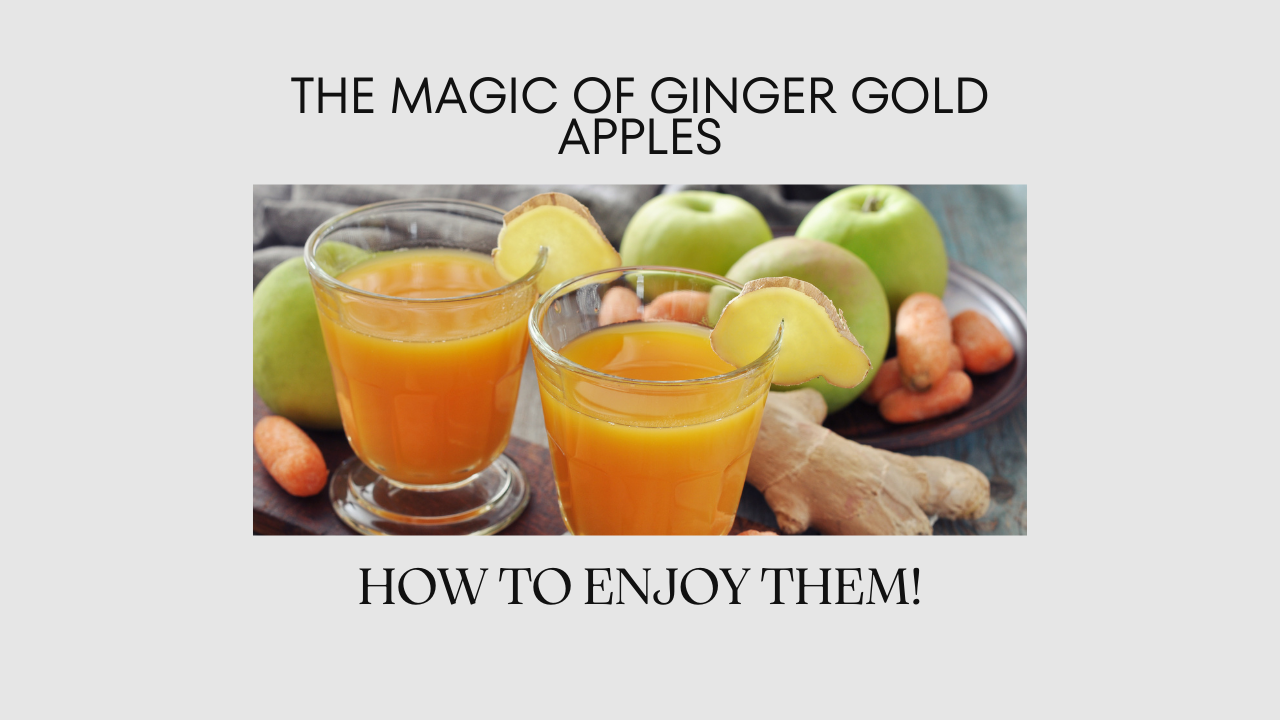 What are ginger gold apples: How To benefit from them